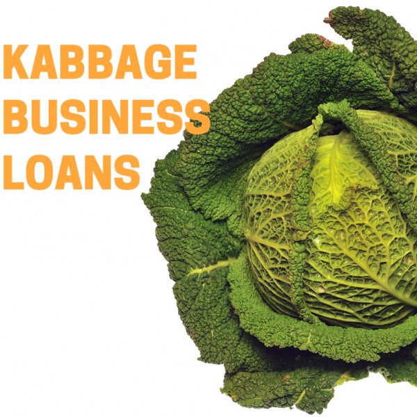 kabbage business loans
